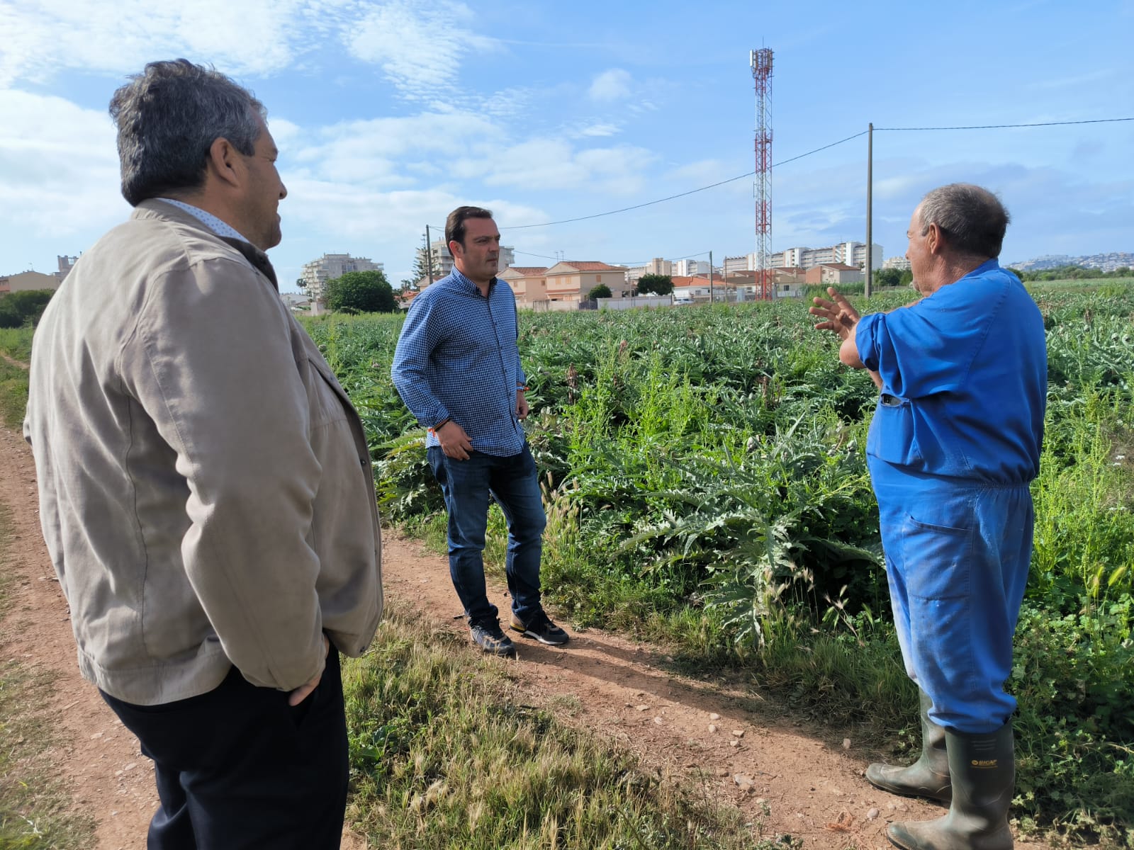 Peníscola impulsa la seguretat i suport fiscal als agricultors amb el nou Consell Agrari Local